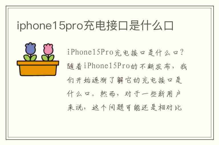 iphone15pro充电接口是什么口